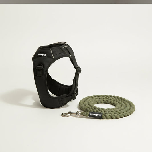 HOMOVIO The Adventurer Harness & Leash Set – Walk Smarter. Live Freer.